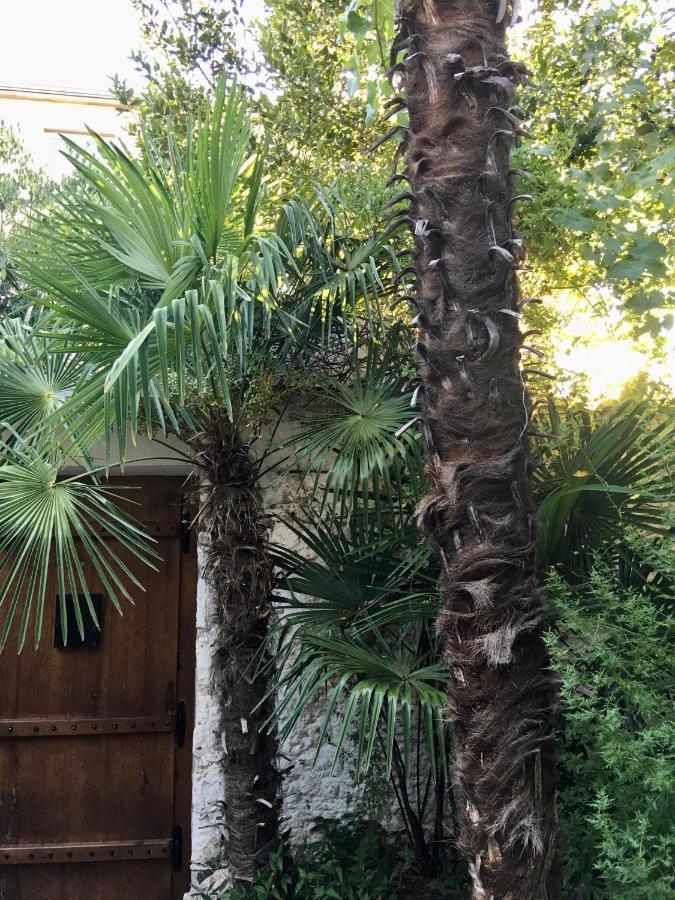 Palmera Mostar Buitenkant foto