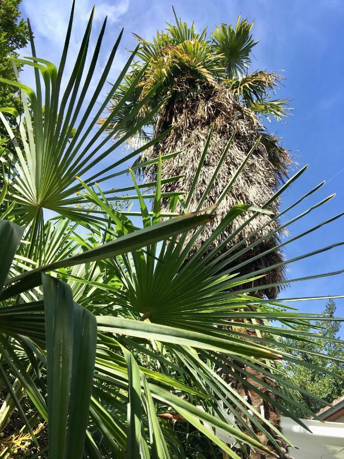 Palmera Mostar Buitenkant foto