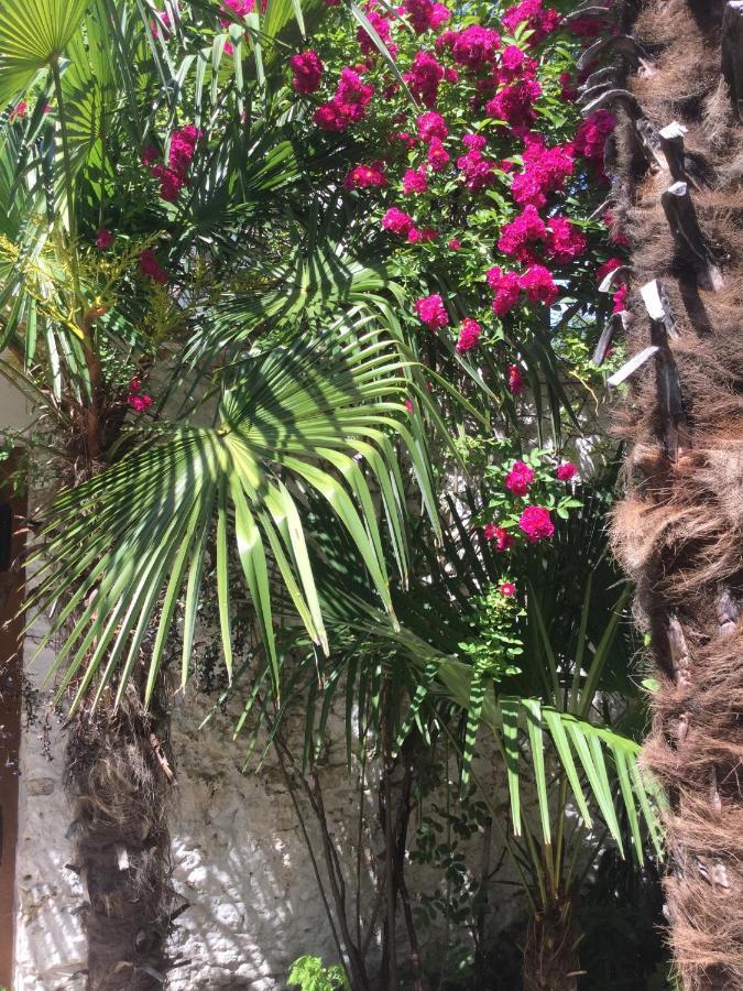 Palmera Mostar Buitenkant foto